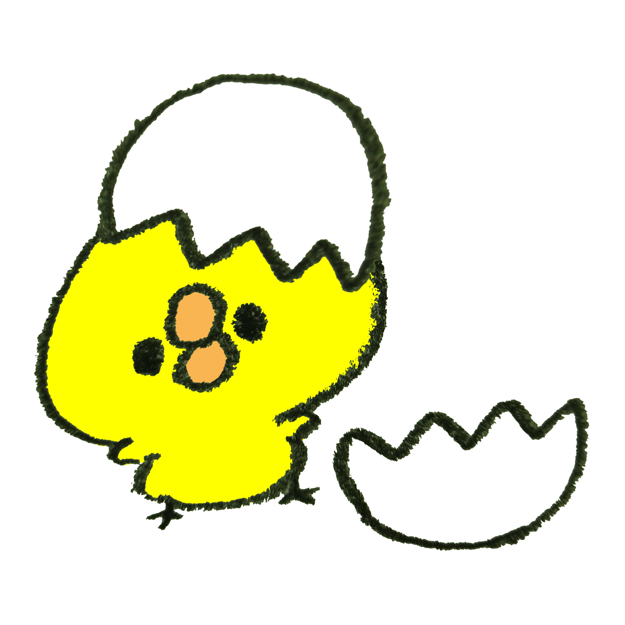 B5 手描きイラストプリント ひな ひよこ タマゴ ヒヨコ 卵 可愛い 癒し 絵 鳥 メーカー再生品 絵