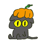 ハロウィンにとりあえずかぼちゃをかぶってみる黒猫